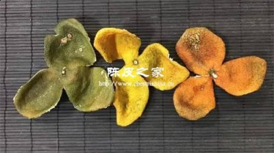 新会陈皮越厚越好吗