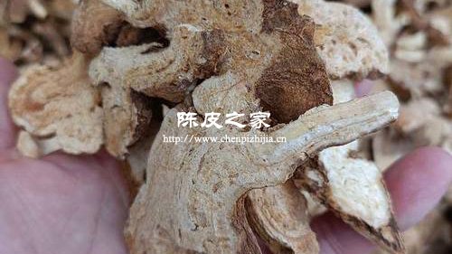 白术茯苓陈皮的功效与作用及食用方法