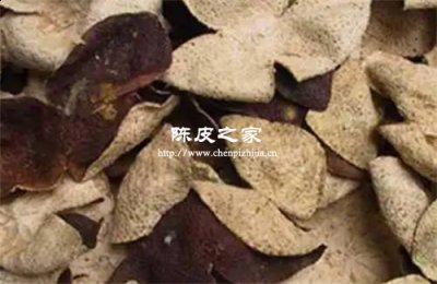 广陈皮和新会陈皮一样吗