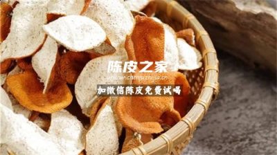 新会陈皮哪里可以买得到