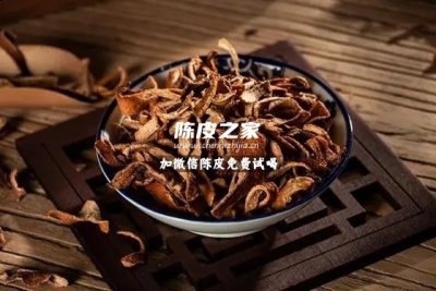 陈皮瓜子的功效与作用及禁忌