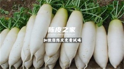 白萝卜和陈皮煮水有什么功效