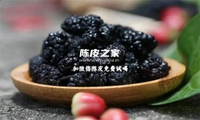 桑葚枸杞陈皮一起泡茶好吗