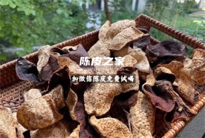 陈皮枇杷叶甘草煮水的功效